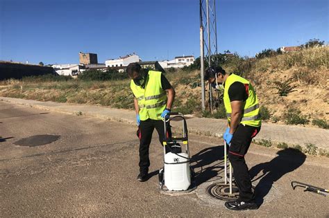 El Ayuntamiento continúa con el programa de tratamiento para el control