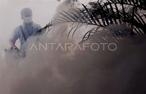 Demam Berdarah Dengue Antara Foto