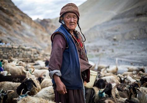 Culture of Leh Ladakh | People & Lifestyle of Leh Ladakh – Swan Tours