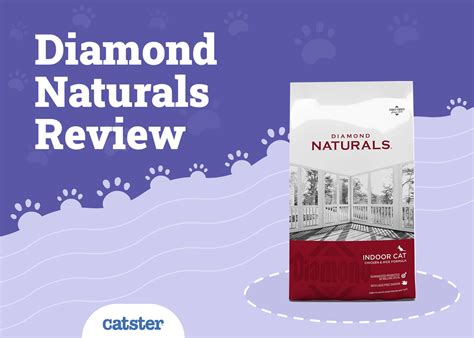 Diamond Naturals Cat Food Review of 2026: Recalls, Pros & Cons - Catster