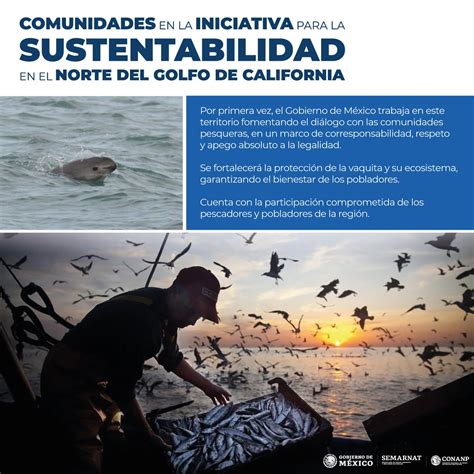 Iniciativa Para La Sustentabilidad En El Norte Del Golfo De California