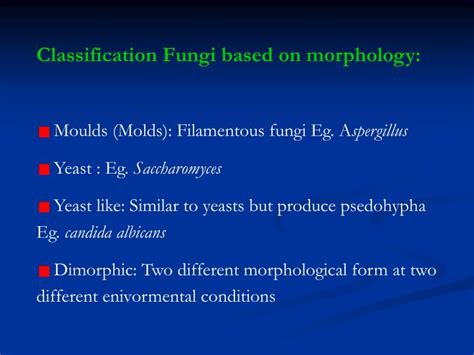 Ppt Kingdom Fungi Powerpoint Presentation Id5365811