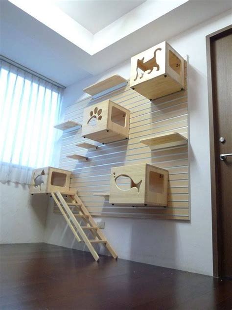 Design Sangkar Kucing Kayu Pallet 15 Model Kandang Kucing Kayu Yang