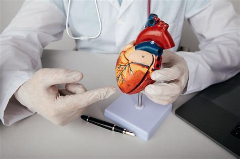 Consulta De Cardiología Tratamiento De Enfermedades Del Corazón Médico