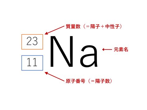 images  cny japaneseclassjp