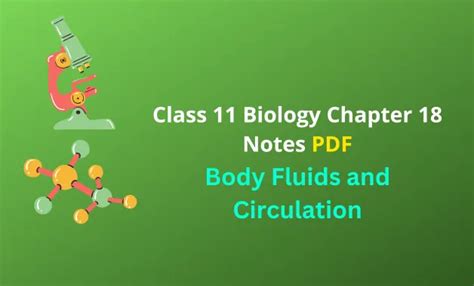 Ncert Class Biology Body Fluids And Circulation Notes Pdf