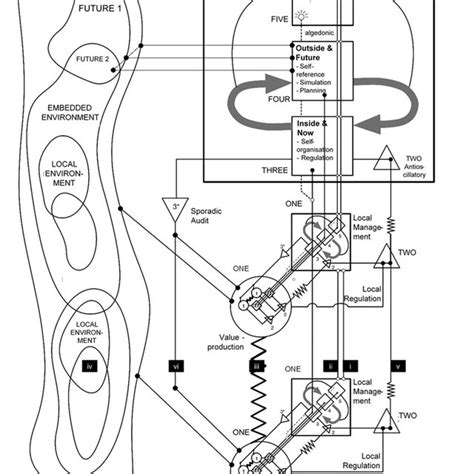 Stafford Beer's Viable System Model (cyber‐subsidiarity) for any ...