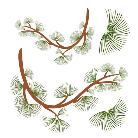 Premium Vector Cedar Branch Vector Illustration