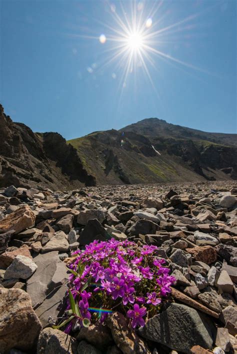 Twin Lakes Alaska - Kayak & Hike with Alaska Alpine Adventures