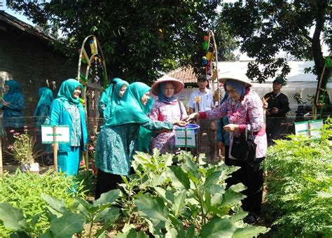 Pemkab Bekasi Target Juara Di Lomba Pemanfaatan Pekarangan Rumah