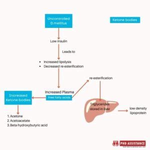 Diabetic Ketoacidosis Research Insights PhD Assistance