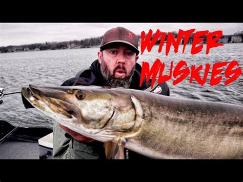 WINTER MUSKY FISHING IN THE RAIN Muskies On Suckers And Glides