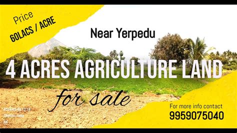 Acres Agriculture Land For Sale Near Yerpedu Contact Youtube