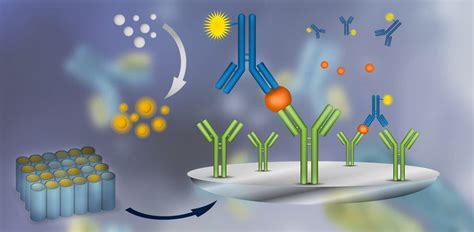 Sample Handling for ELISA Assay - INSCMagazine