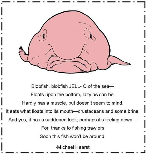 1000+ images about The BlobFish: Nobody likes me on Pinterest ...