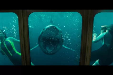 Sinopsis Film 47 Meters Down Uncaged Petualangan Mematikan Di Laut