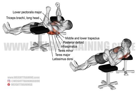 Infraspinatus Exercises