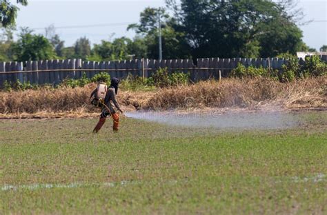 Knapsack Sprayers Stock Photos Free Royalty Free Stock Photos From