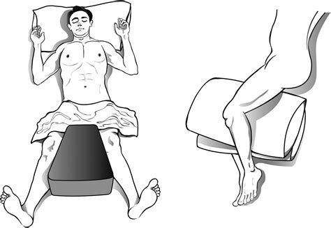 The Effect Of Hip Position On The Length Of Trochanteric Muscles