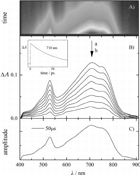 Triplettriplet Absorption Spectra Of 3 In Ch Recorded At 1 A 7 B Download Scientific