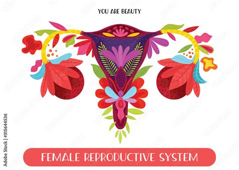 Beauty Female Reproductive System With Flowers Hand Drawn Uterus Womb