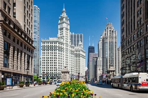 450+ Bus Chicago Photos Stock Photos, Pictures & Royalty-Free Images ...