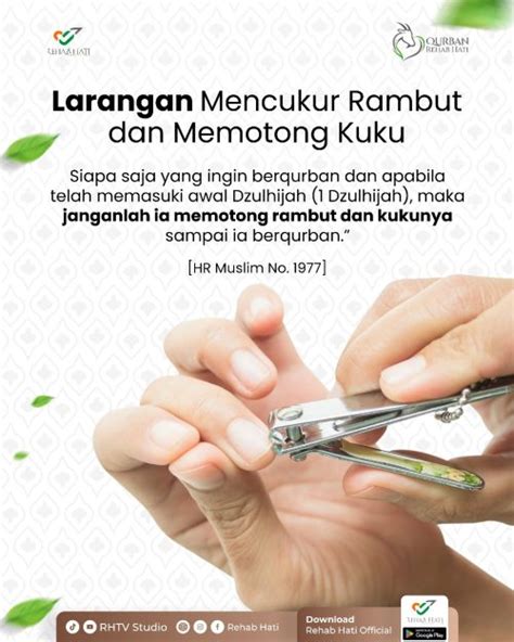 Hikmah Pelarangan Mencukur Rambut Dan Memotong Kuku Bagi Yang Berqurban