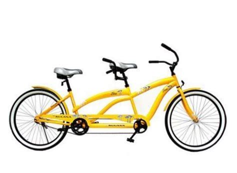 Tandem Bicycle 2 Person Bike Built For Two Biking Cycle Double Seated