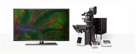 Laser Scanning Microscopes Evident Janfeb 2024 Photonics Spectra