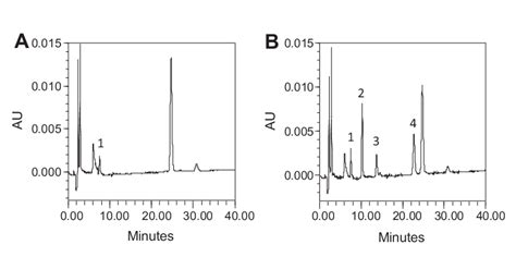 The Typical Chromatograms For The Extracted Carbamates From Pear A Download Scientific