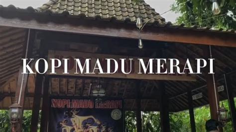 Kopi Madu Merapi Di Desa Wisata Pentingsari Yogyakarta Youtube