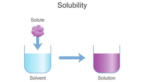 Factors That Affect Solubility Of Gases