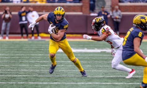 Michigan football TE Luke Schoonmaker selected in second-round of 2023 ...