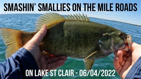 Lake St Clair Smallmouth Bass Fishing How To Catch Smallmouth Post