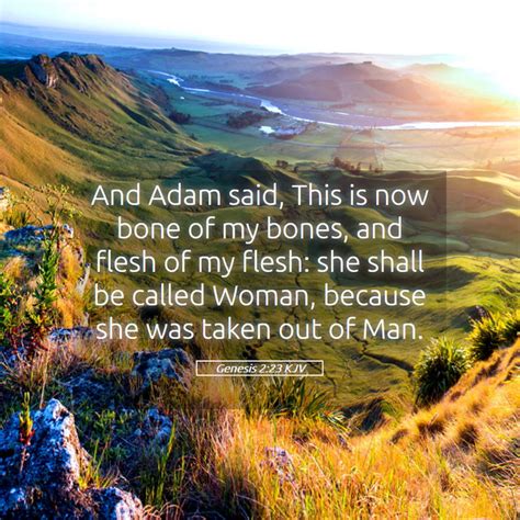 Genesis 2 23 KJV And Adam Said This Is Now Bone Of My Bones And