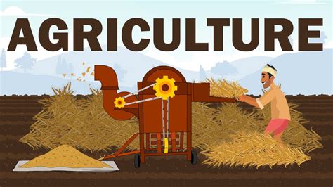 Agriculture Harvesting Threshing Winnowing Farmer Animation