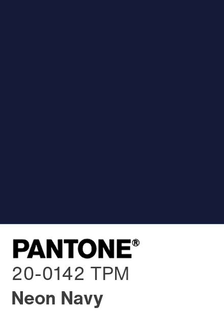 Pantone Navy Blue