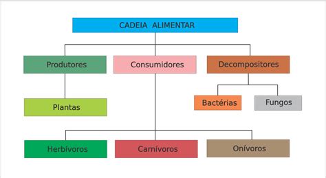 N Veis Tr Ficos Produtores Consumidores E Decompositores Resumo