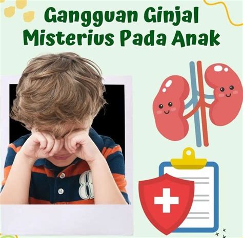 Ciri Ciri Gagal Ginjal Akut Pada Anak Waspadai Intensitas Pipis Anak Jateng Time