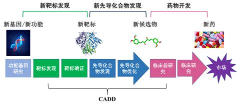 药物高通量筛选小知识 企业动态 丁香通