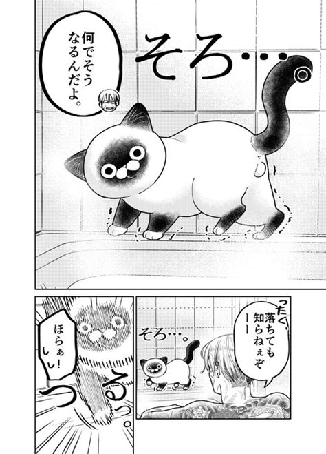 元極道と野良猫がお風呂に入る話。 （2／3） 片倉 頼📦オヤジとにゃん吉👨‍🦳🐾🐱7 113⃣巻発売🐾 さんのマンガ ツイコミ仮