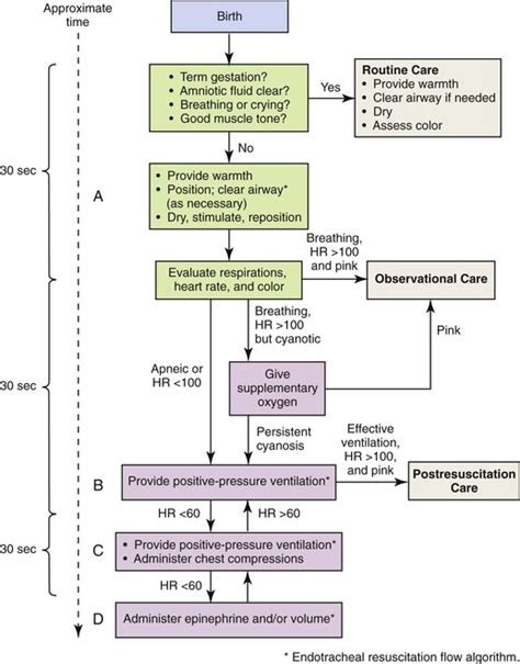 Aha Newborn Resuscitation Flow Chart