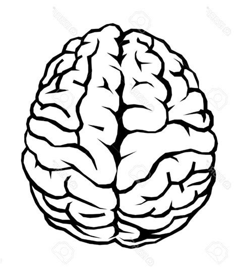 rotate resize tool brain clipart outline