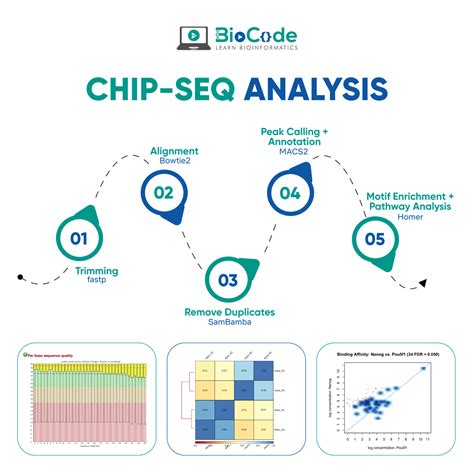 Chip Seq Analysis Biocode