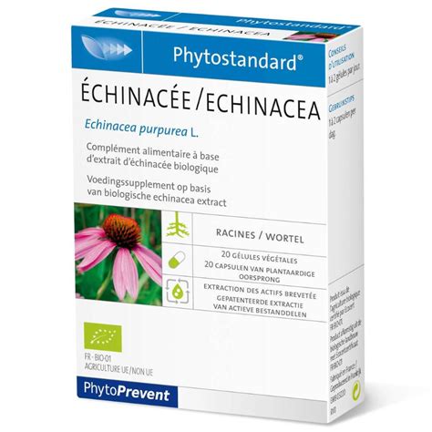 Phytostandard Échinacée 20 pc s Redcare Pharmacie