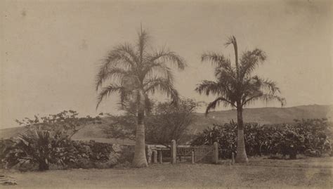 Founding of Punahou School - Punahou School