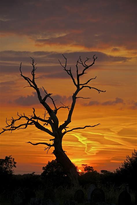 Final Sunset Photograph By John Mchale Fine Art America