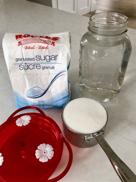 How To Make Hummingbird Food Sugar Water Recipe Artofit