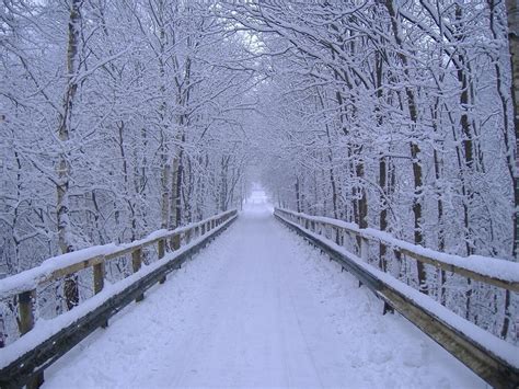 Free Desktop Wallpaper Winter Scenery