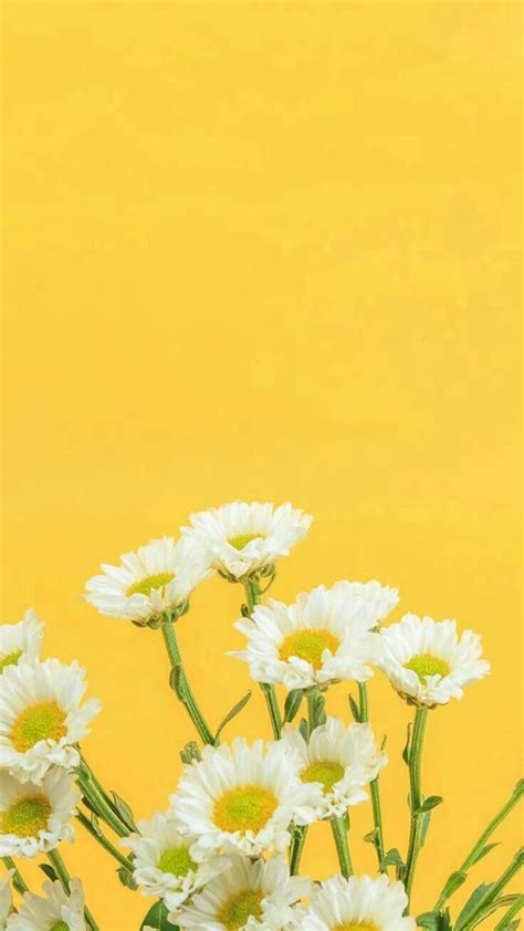 Yellow Flower Wallpaper 🌼